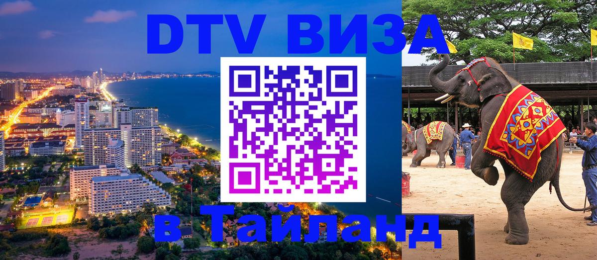 Оформление DTV визы под ключ: стоимость и тарифы, только загранпаспорт - Волгоград  20.11.2025 